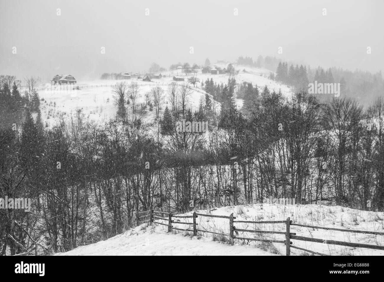Clearing-Schneesturm in den Rocky Mountains. Stockfoto
