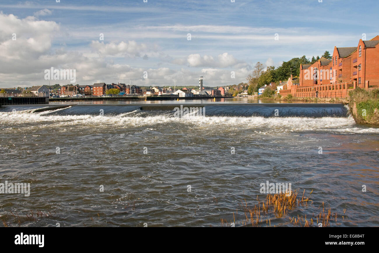 Der Fluss Exe beim Karottenhosenträger Wehr, Exeter Stockfoto