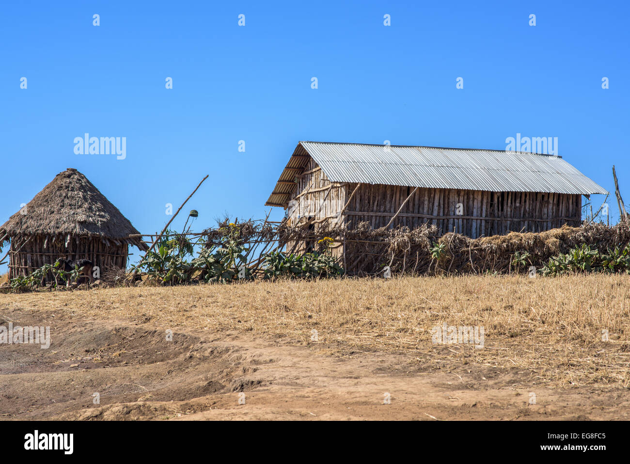 Gehäuse in Simien Mountains in Äthiopien Stockfoto