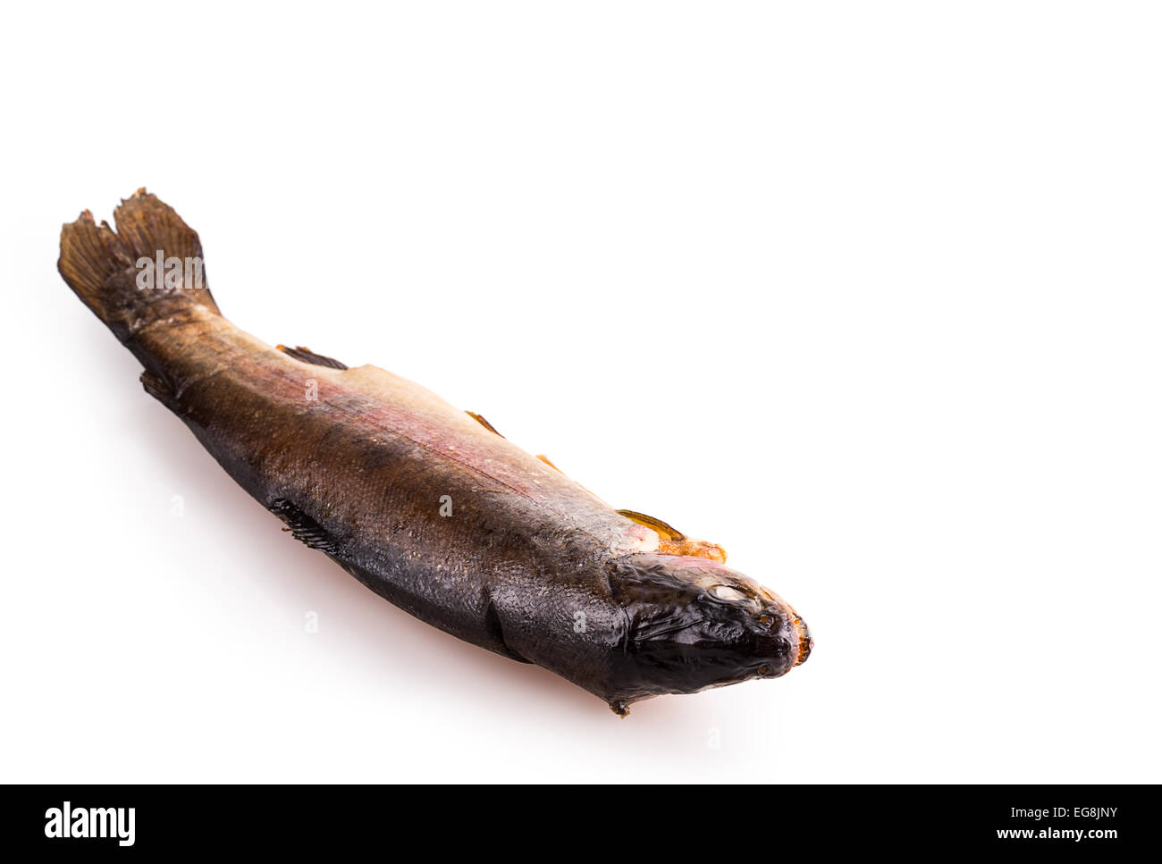 geräucherter Fisch Essen Makrele Fisch isoliert Stockfoto