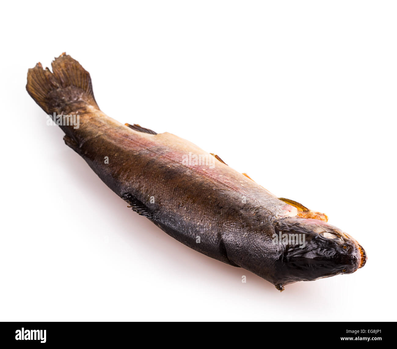 geräucherter Fisch Essen Makrele Fisch isoliert Stockfoto