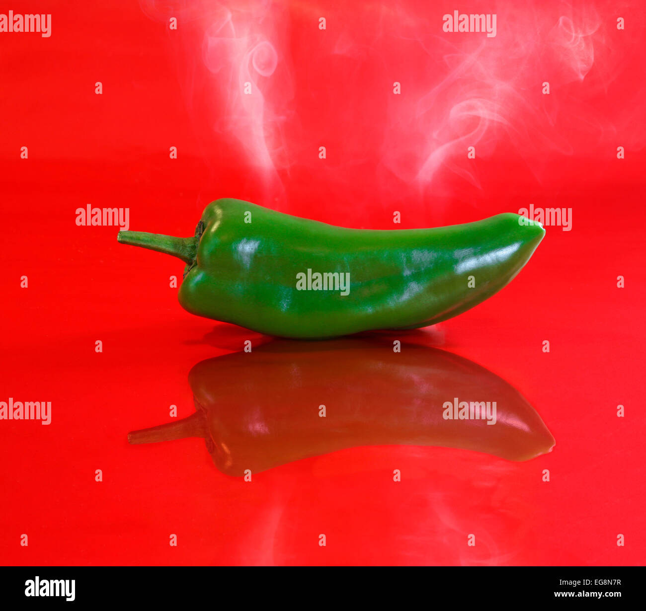 Eine würzige grüne chile Stockfoto