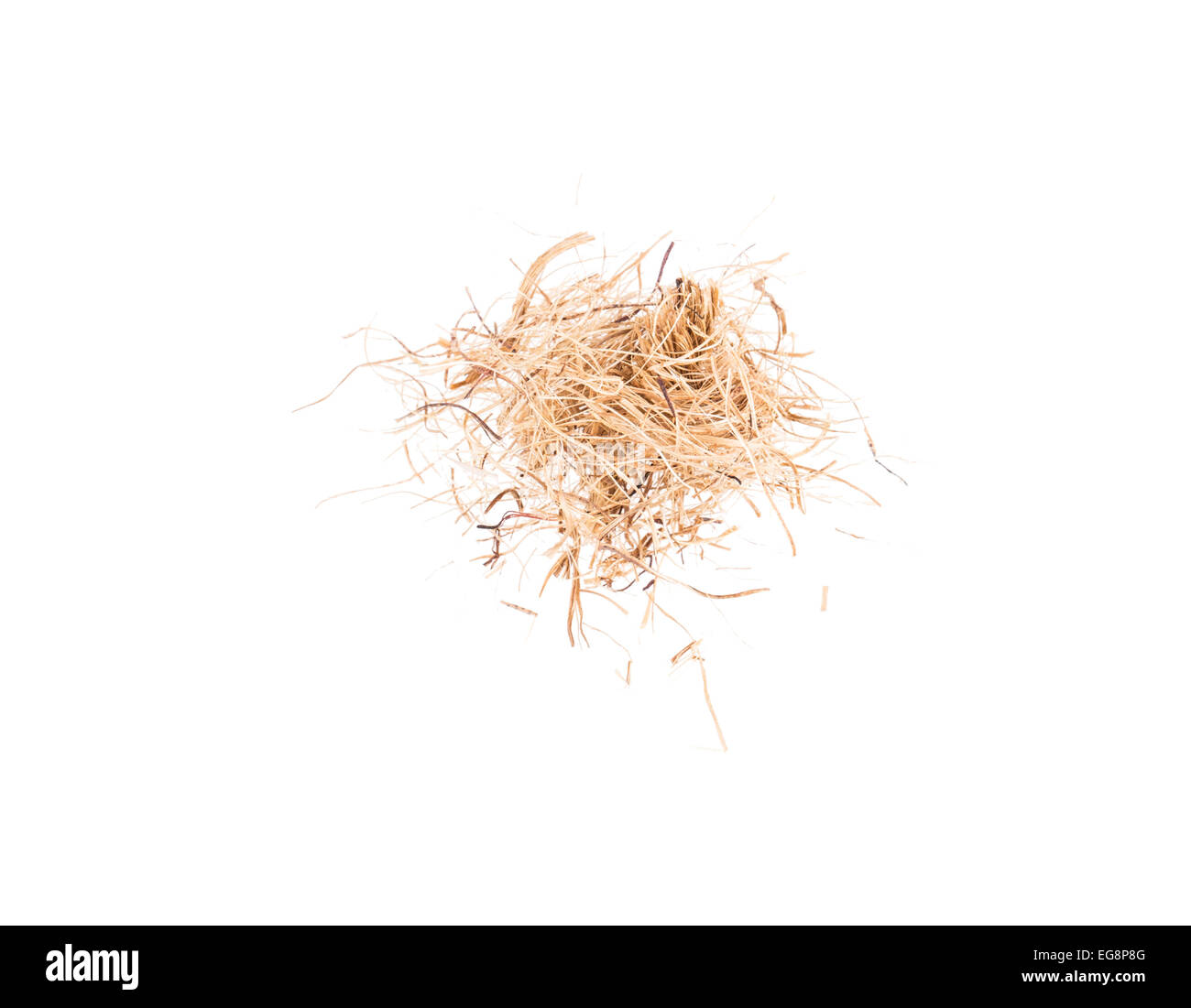 gerissene Seil Solated auf weißem Hintergrund Stockfoto