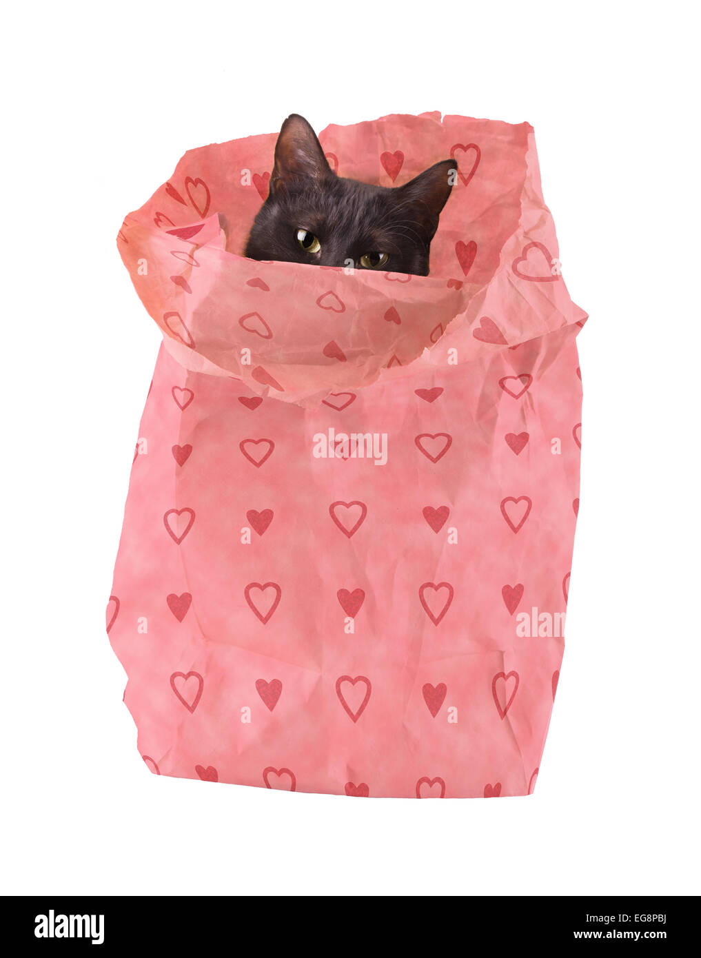 Bagful der Liebe - eine schwarze Katze spähte aus einer Papiertüte dekoriert mit rosa Herzen - eine neue Valentine Freund Stockfoto
