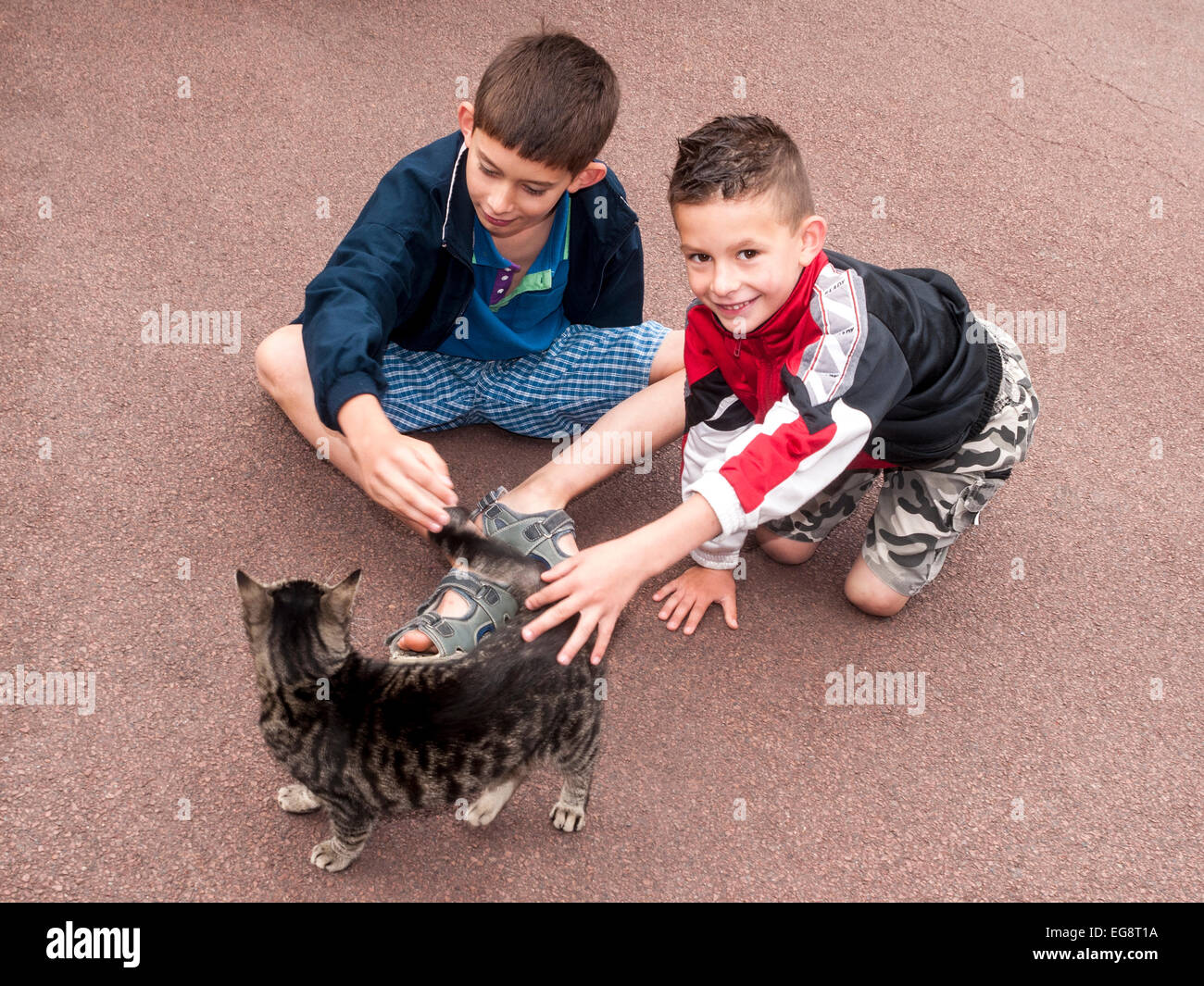 Zwei Jungen spielen mit Tabby Kitten - Frankreich. Stockfoto