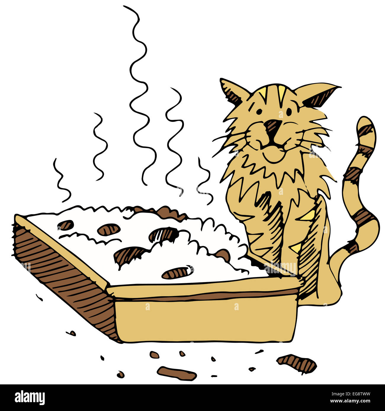 Ein Bild von ein schmutziges Katzenklo und Katze Stockfotografie Alamy