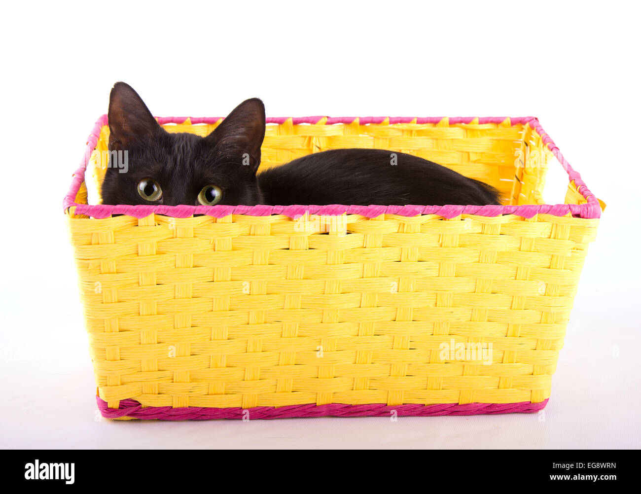Entzückende schwarze Katze versteckt in einem gelben Korb über den Rand zu spähen Stockfoto