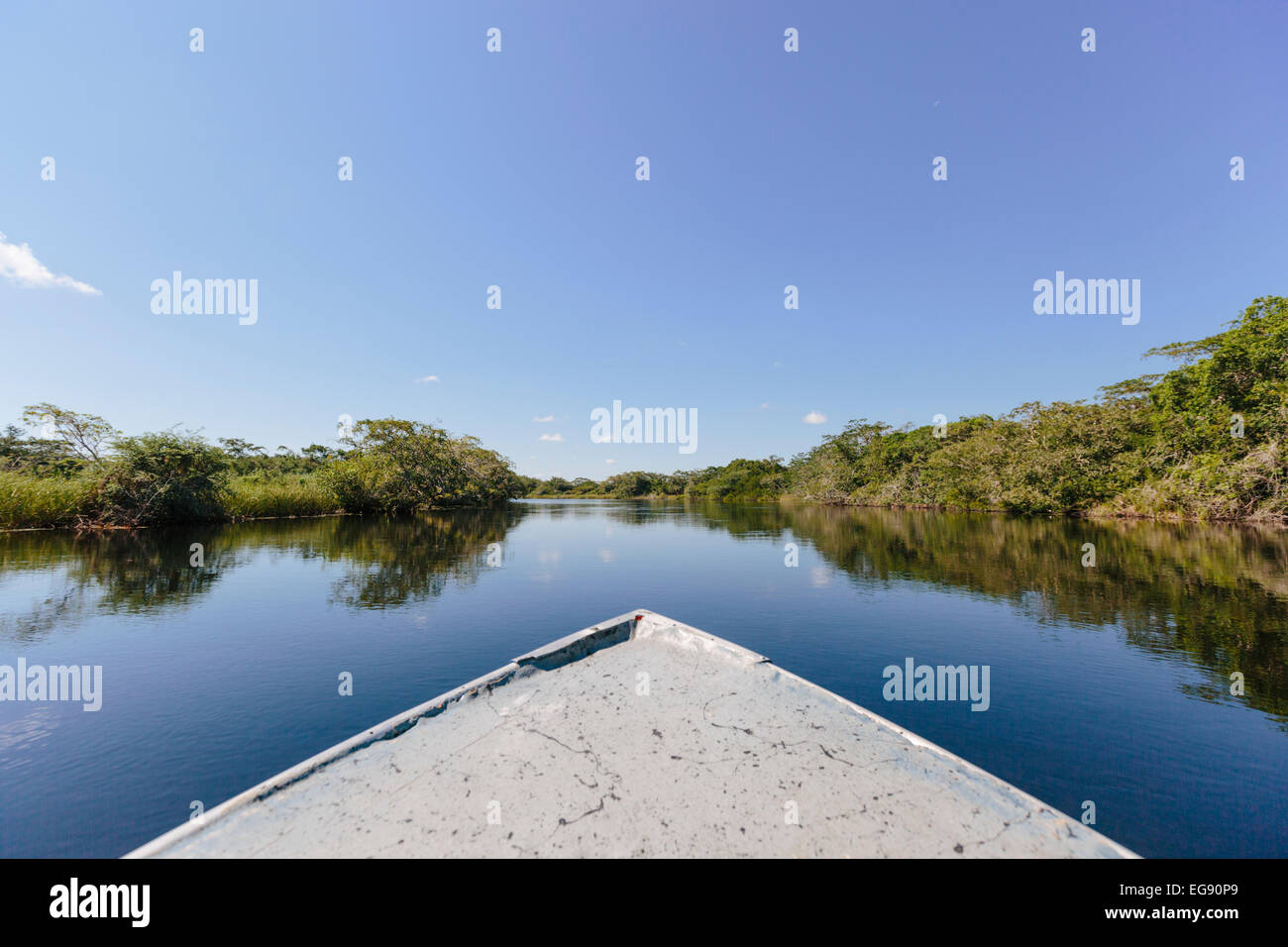 Bootsfahrt auf dem New River Überschrift nach Lamanai, Belize an einem sonnigen Tag Stockfoto