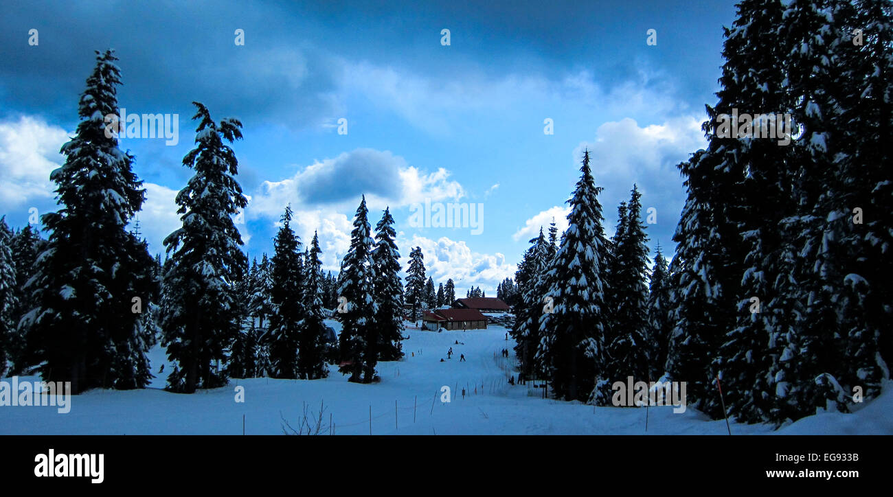 Skigebiet in der Ferne mit hohen schneebedeckten Evergreens und Neuschnee an einem sonnigen Wintertag. Stockfoto