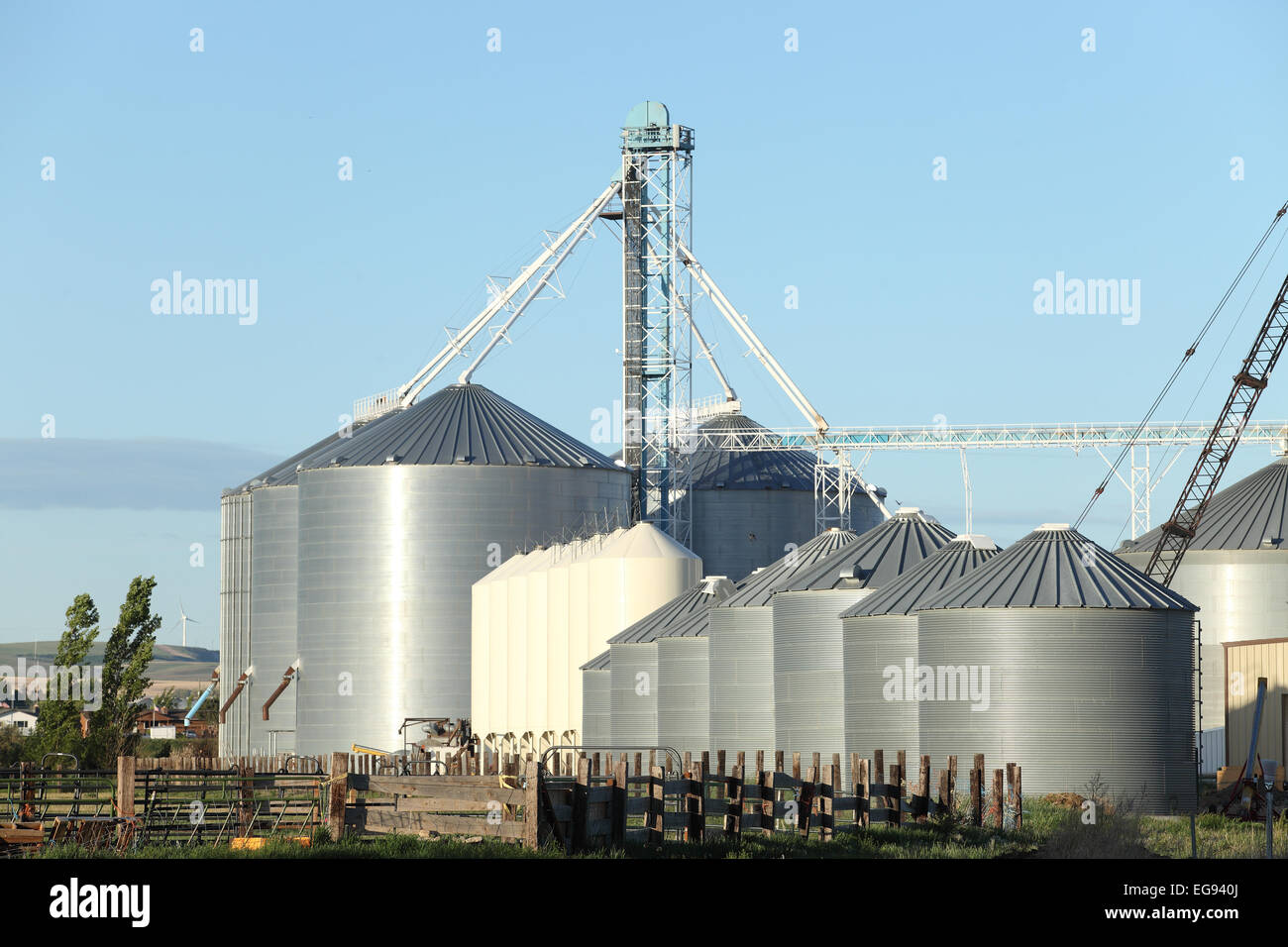 Eine Gruppe von Getreidespeicher für die Lagerung von Weizen und anderen Getreiden.  Es befindet sich neben einer Eisenbahn Abstellgleis zum einfachen beladen. Stockfoto