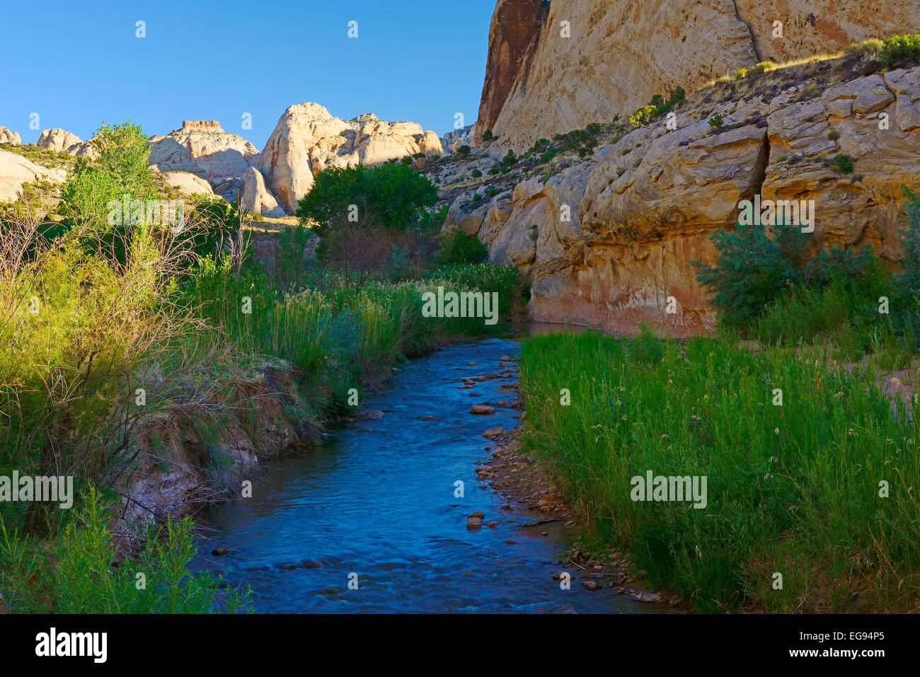 Schwefel-Bach fließt durch Capital Reef Nationalpark im US-Bundesstaat Utah. Stockfoto