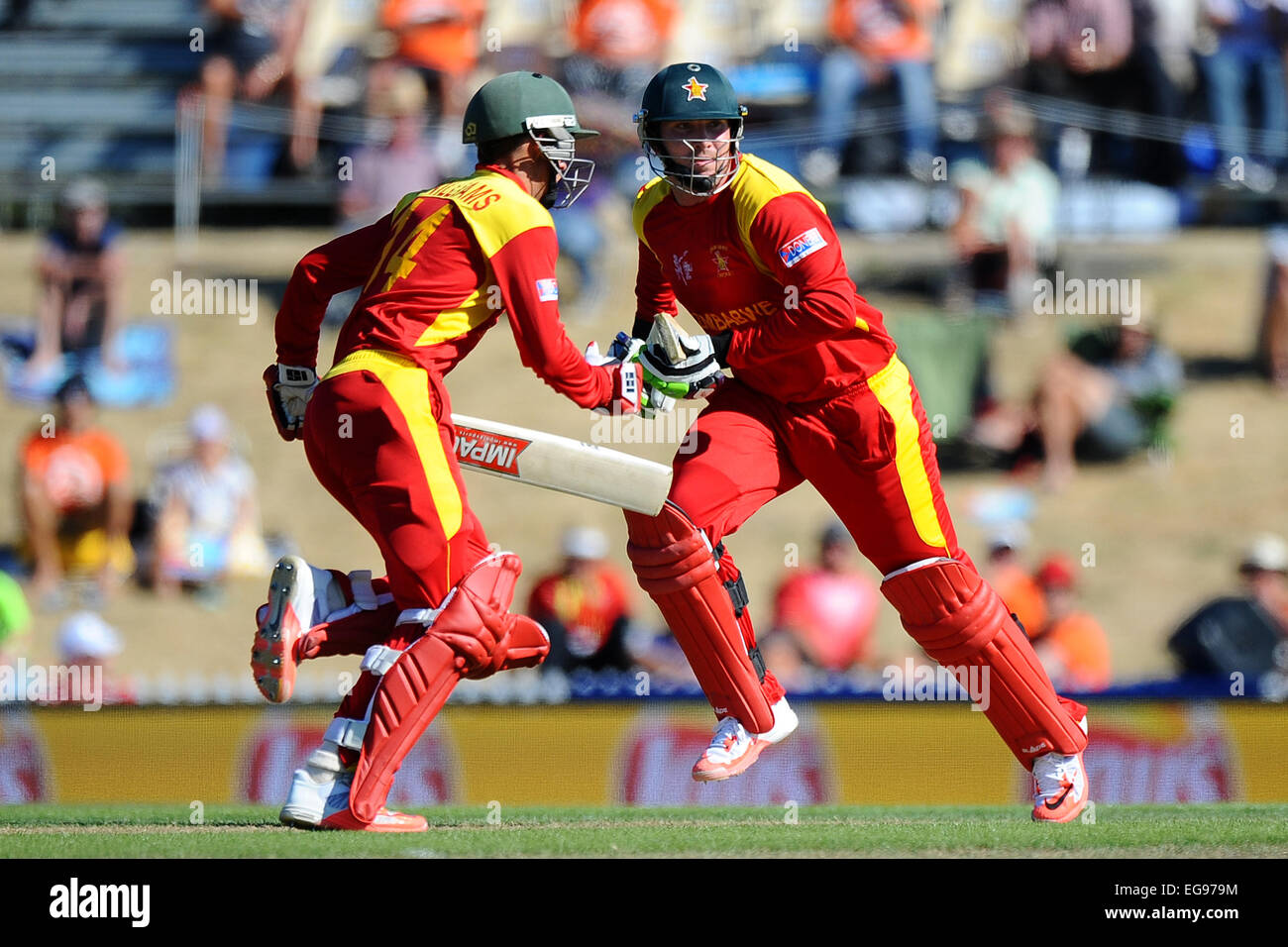 Nelson, Neuseeland. 19. Februar 2015. L-R Simbabwe Spieler Sean Williams und Brendan Taylor während der ICC Cricket World Cup 2015 zwischen Simbabwe und Vereinigten Arabischen Emiraten nicht mithalten. Saxton Oval, Nelson, Neuseeland. Bildnachweis: Aktion Plus Sport/Alamy Live-Nachrichten Stockfoto