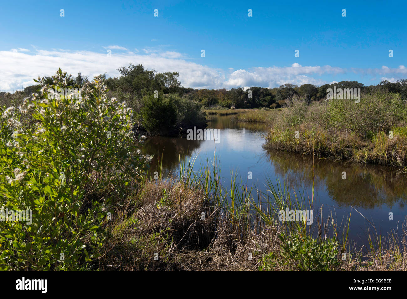 Egan Creek Greenway in Fernandina, Amelia Island, Florida Stockfoto