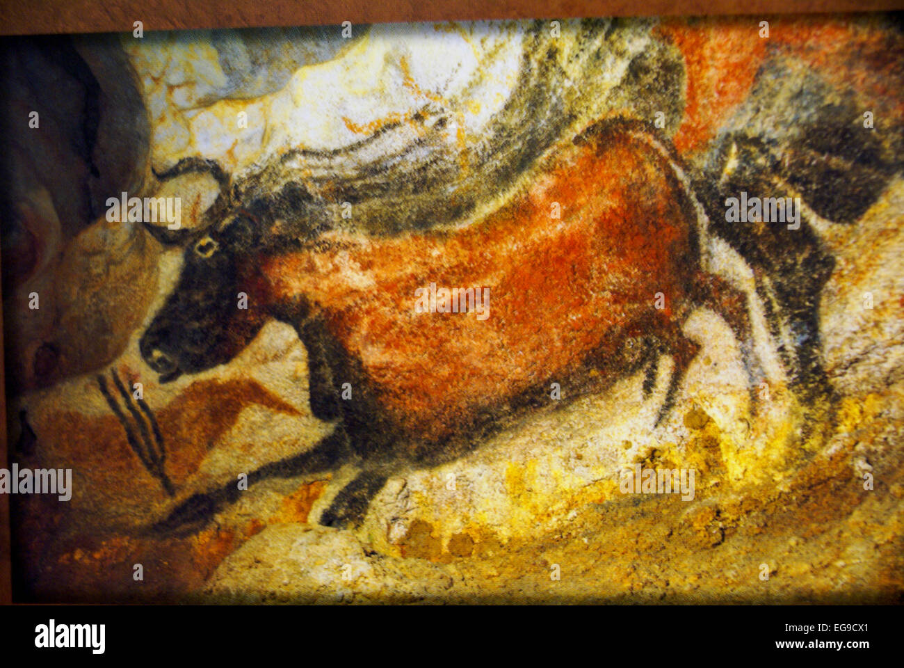 Paläolithische Höhlenmalerei, Höhle von Lascaux, Frankreich. Das sind Pferd und Kuh Zahlen in der zentralen Galerie. Lascaux Höhle painti Stockfoto