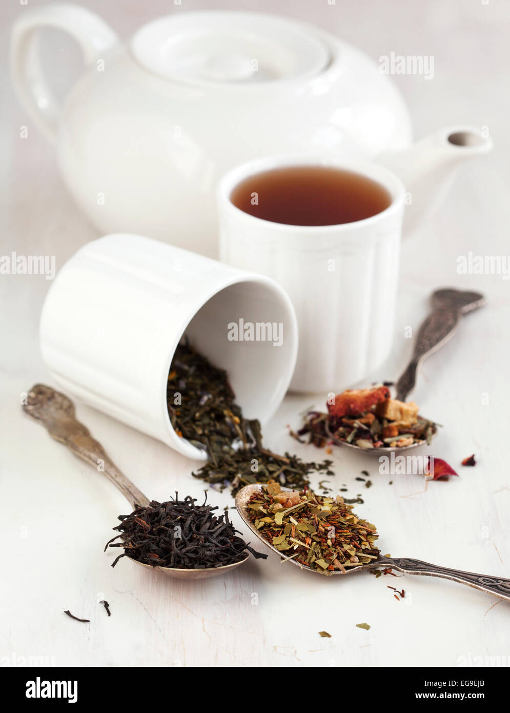 Verschiedene Teesorten: schwarz, grün, Blumen und Kräuter auf weiß Stockfoto