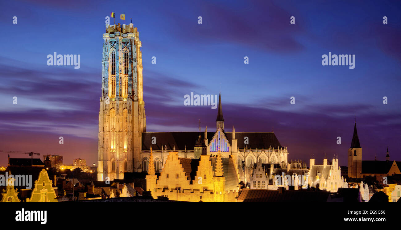 Belgien, Mechelen, blaue Stunde an der Kathedrale von St Rumbold Stockfoto