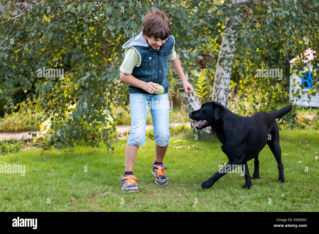 Junge (9-10) spielen mit Hund auf Wiese Stockfoto