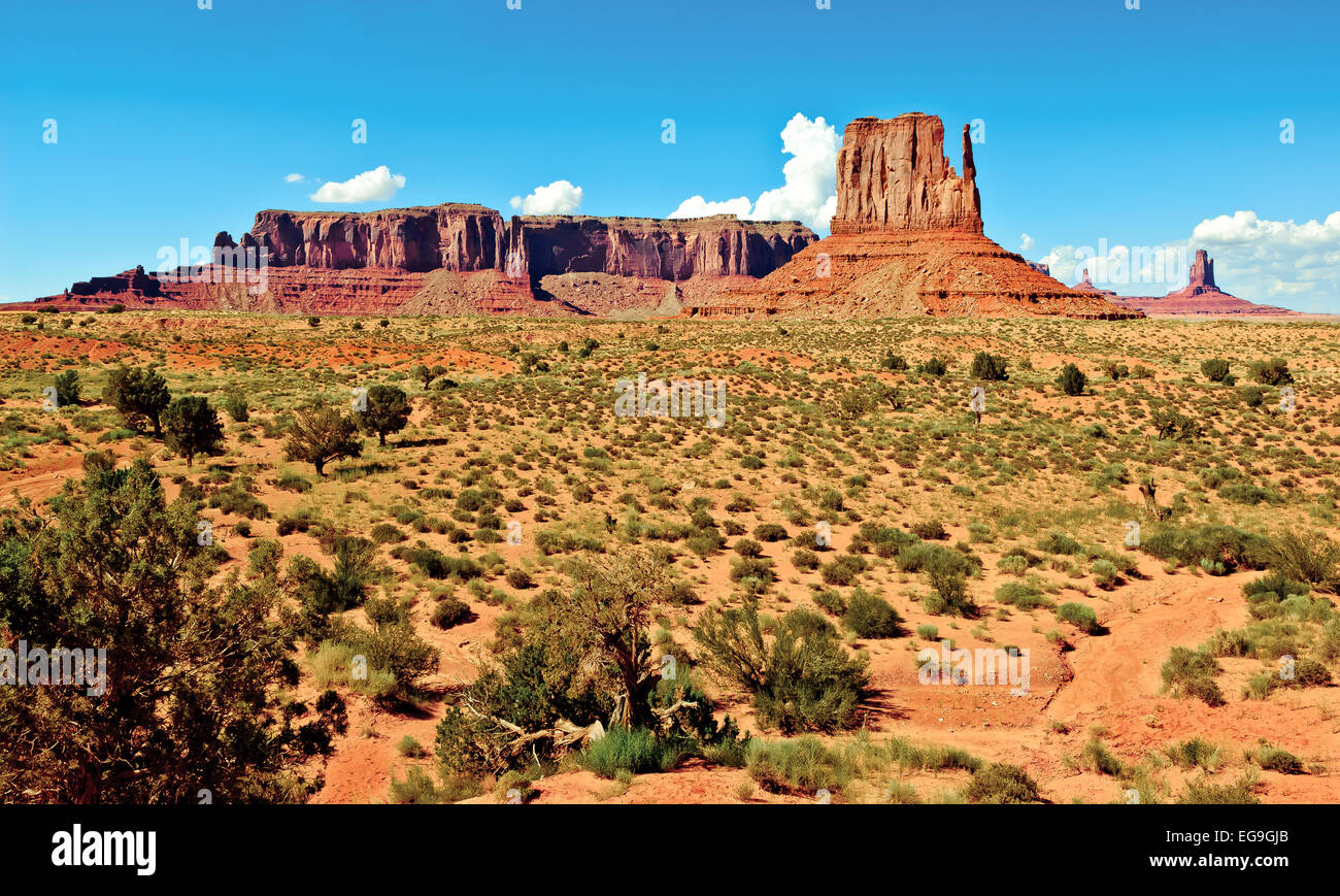 USA, Arizona, Utah, Navajo Indian Reservation, Monument Valley-Sentinel Butte, West Handschuh, roten Felsformationen und Pflanzen auf Wüste Stockfoto