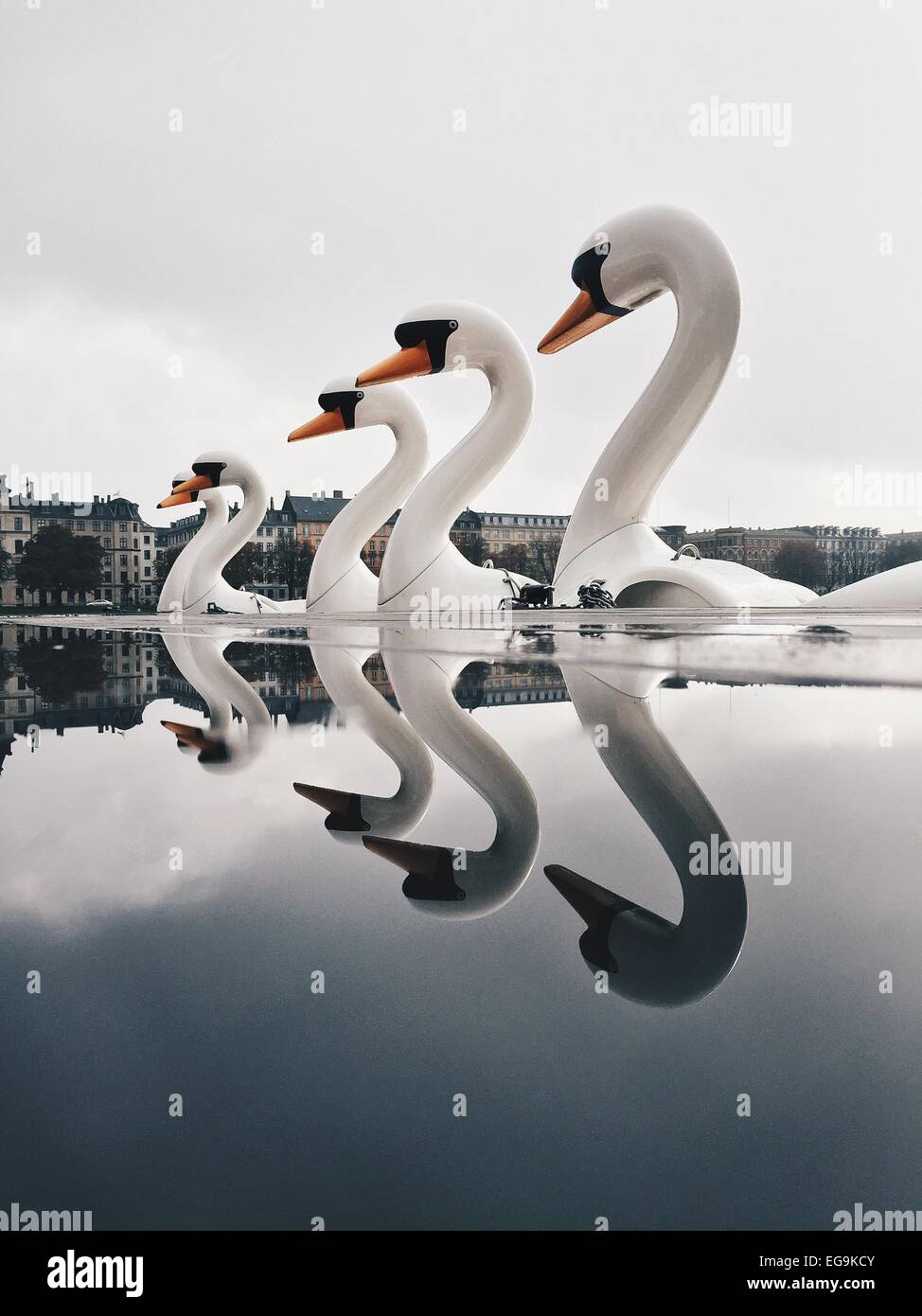 Dänemark, Kopenhagen, Swan Boote im Wasser reflektiert Stockfoto