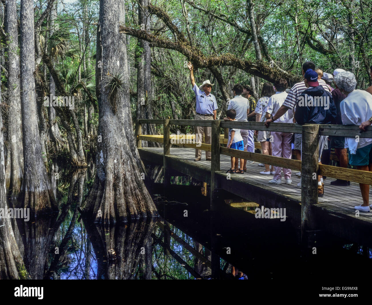 USA. Florida. Babcock-Wildnis-Abenteuer. Stockfoto