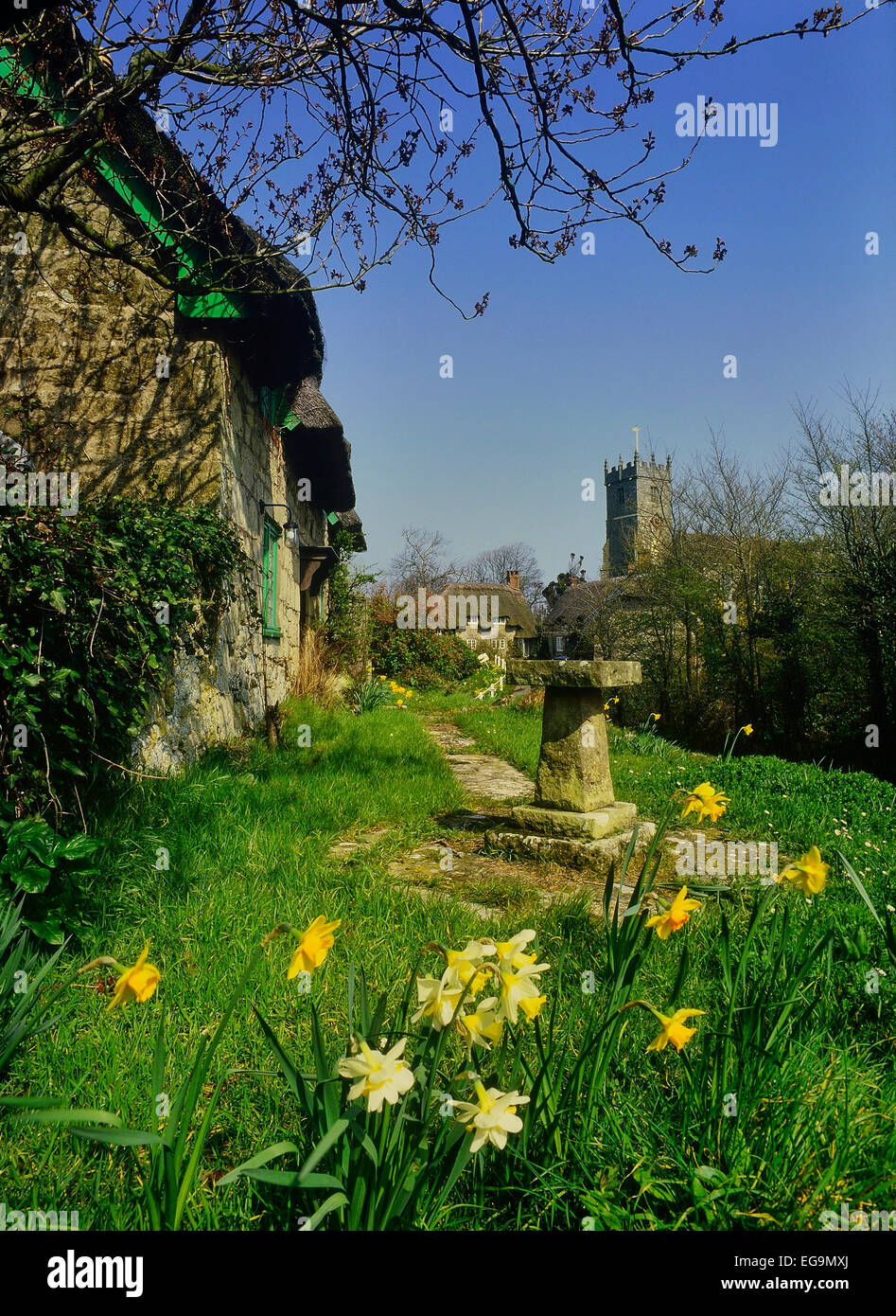 Isle Of Wight. Godshill. UK Stockfoto