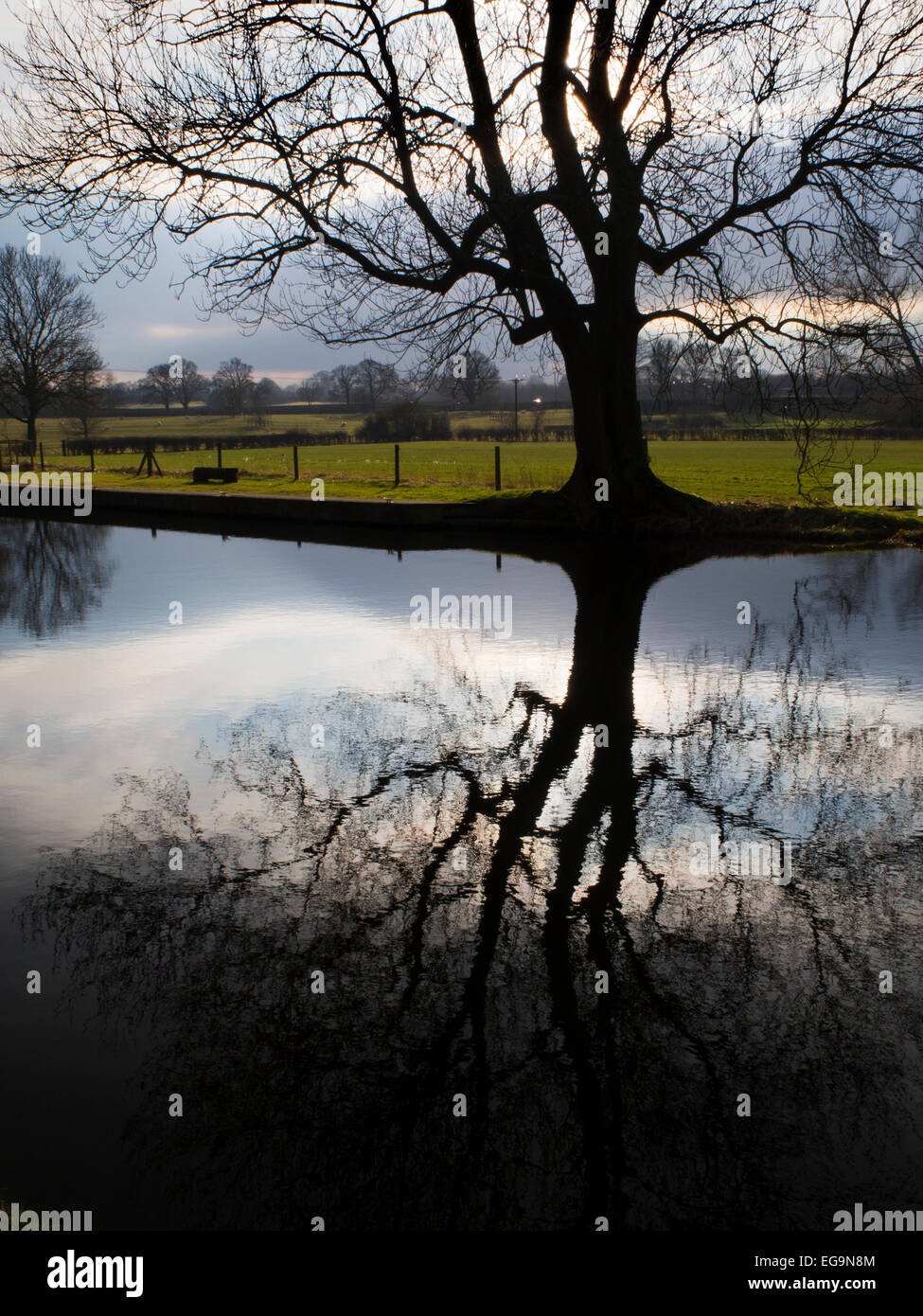 Winter Baum Silhouette spiegelt sich in Ripon Wasserkanal noch North Yorkshire England Stockfoto