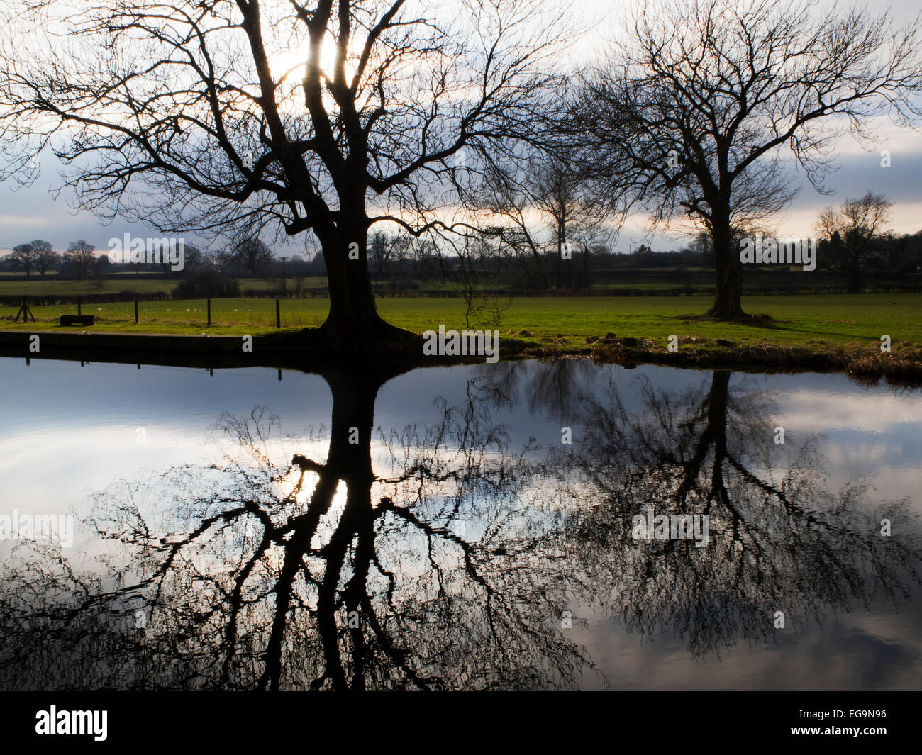 Winterbäume spiegeln sich in Ripon Wasserkanal noch North Yorkshire England Stockfoto
