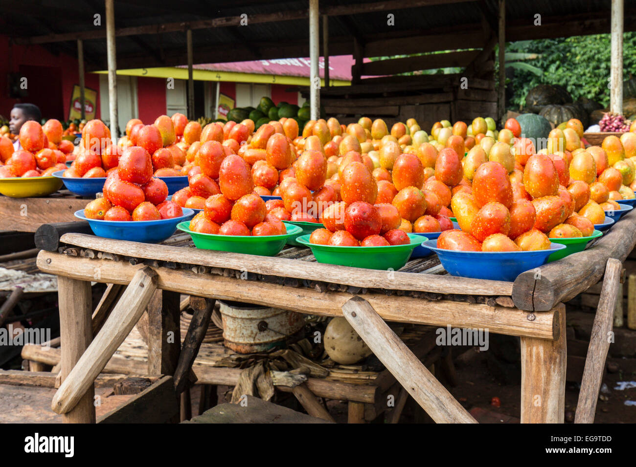 Tomaten auf einem Straßenmarkt, Kampala, Uganda zur Schau gestellt. Stockfoto