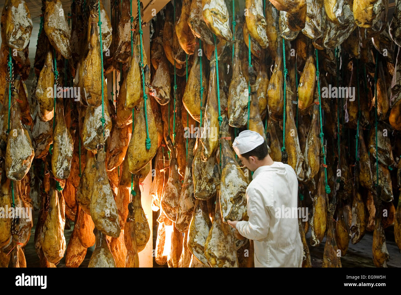 Iberico Schwein Schinken Villanueva de Cordoba Valle Pedroches Andalusien Cordoba Spanien Curacion de Jamones de Cerdo Iberico de Las bode Stockfoto