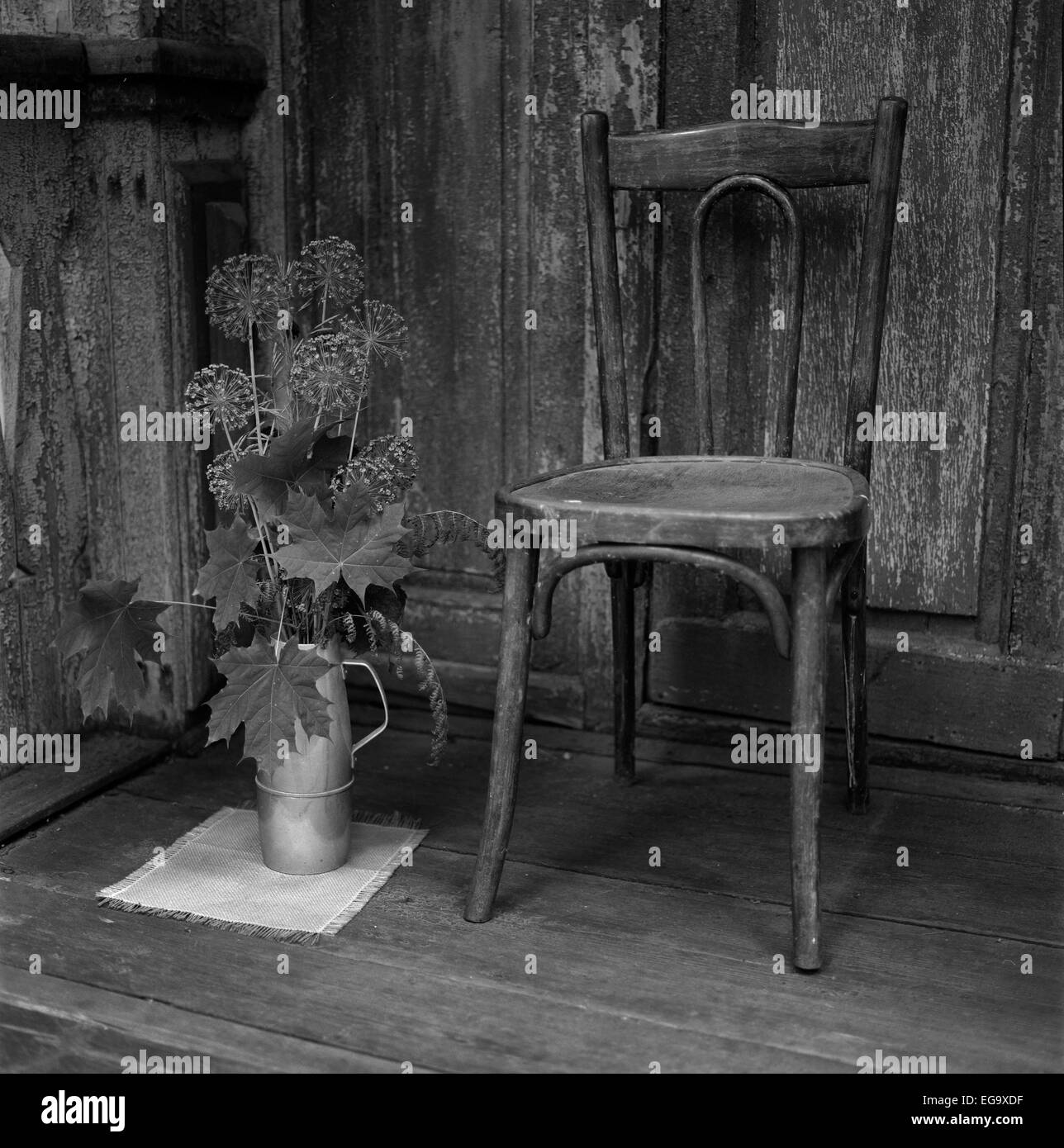 Alten Stuhl und Ahorn Blätter gegen rustikalen Türen. Medium Format Film. monochrom. Stockfoto