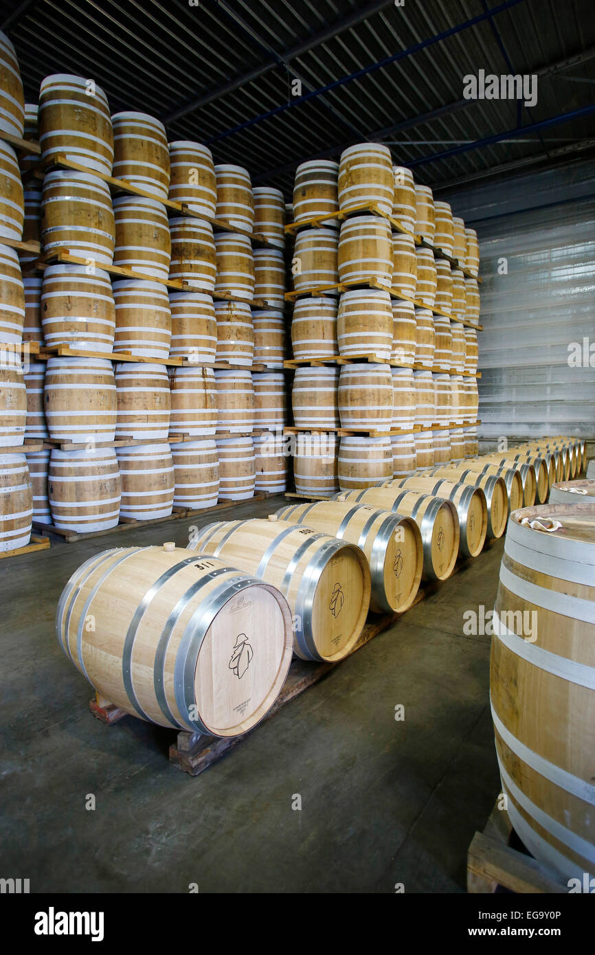 Cognac (Westfrankreich), Dezember 2013: Wein lagern "Chais Corvaisier" Stockfoto