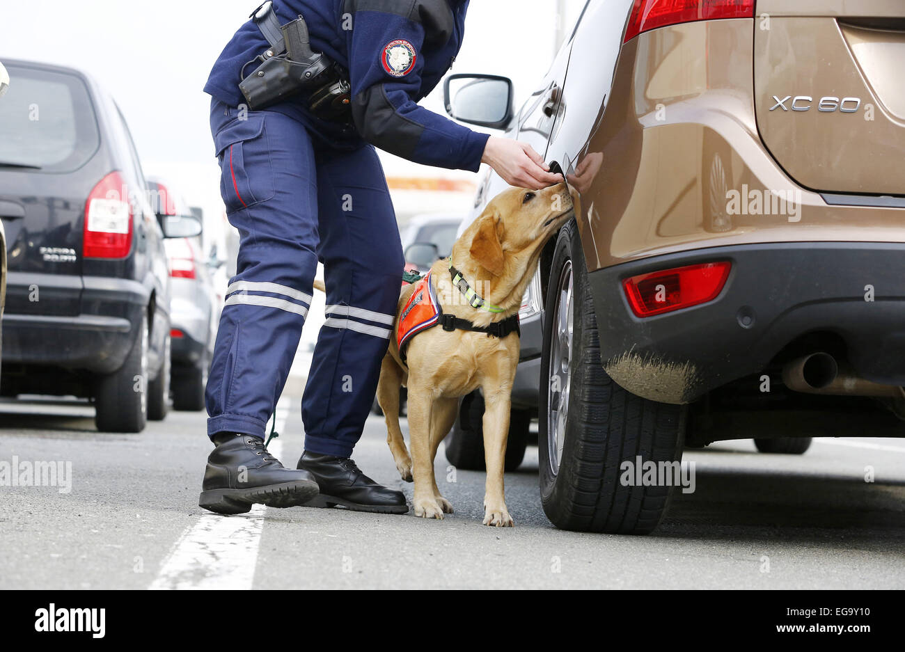 Frankreich, Sitten: Hund Stockfoto