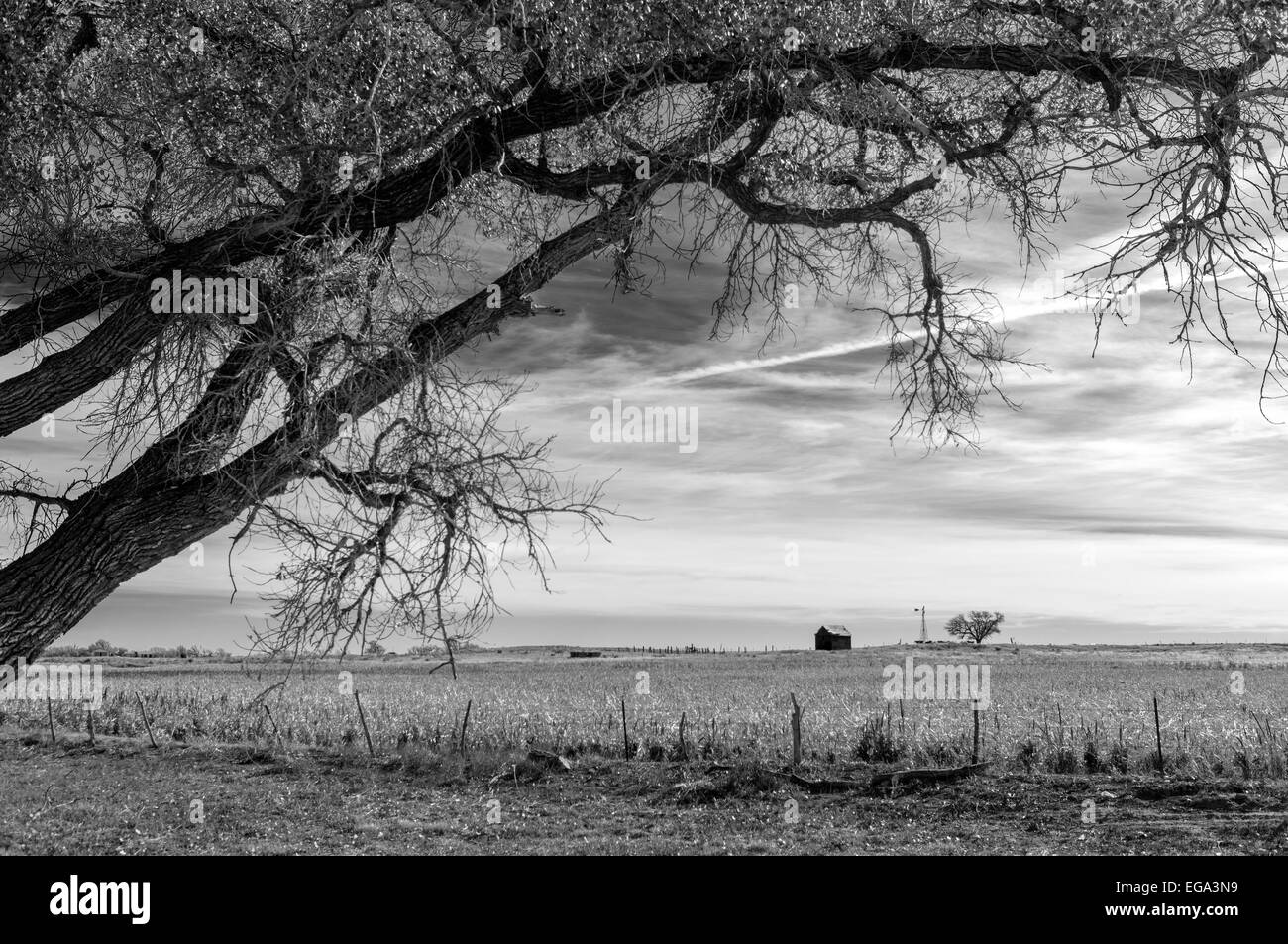 Landschaft in der Nähe von Shattuck, Ellis County, Oklahoma, USA Stockfoto