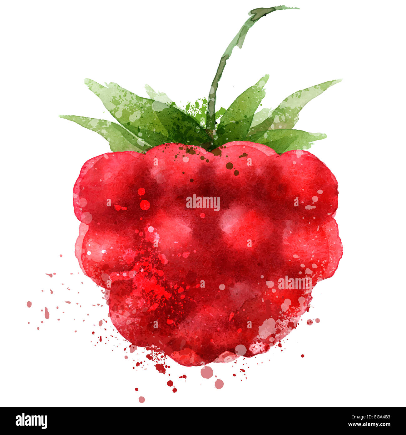 Berry-Vektor-Logo-Design-Vorlage. Himbeer- oder Lebensmittel-Symbol. Stockfoto