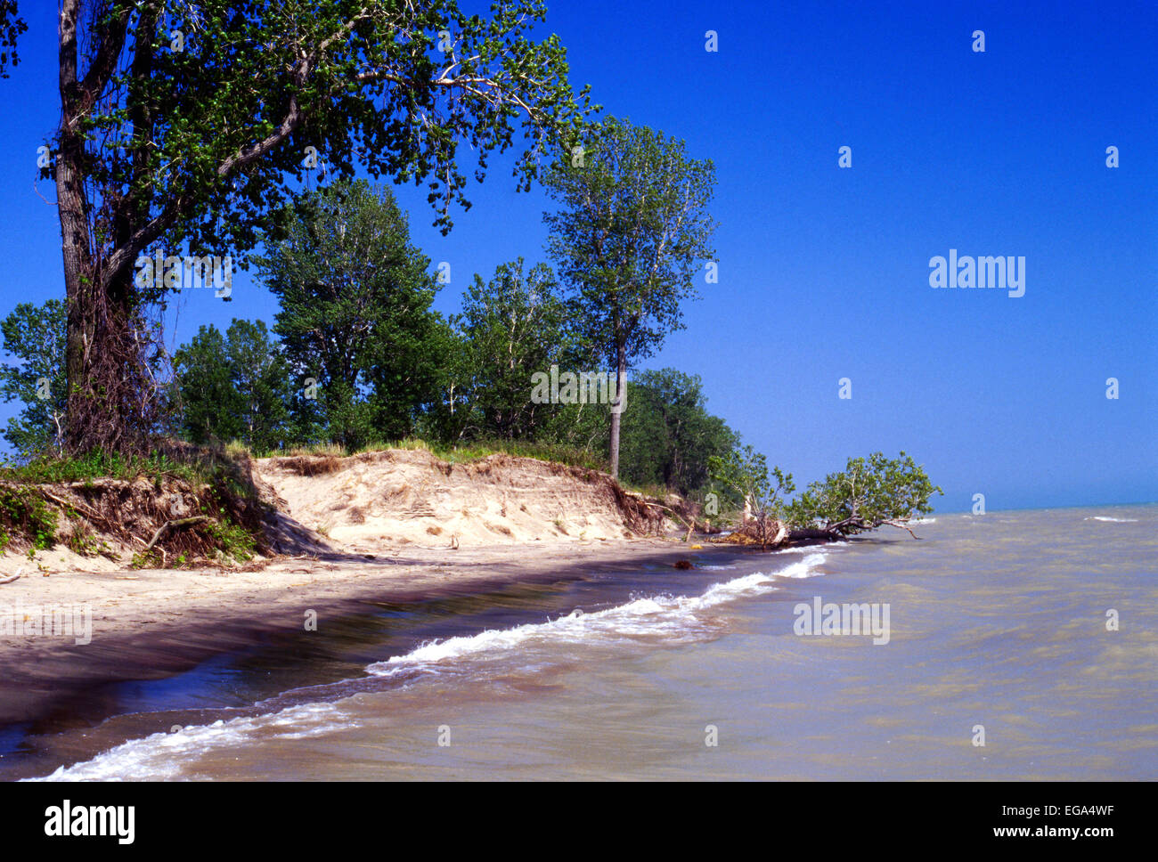 Küstenlinie Erosion Nordufer Erie-See Ontario Kanada. Lange Point Provincial Park. Stockfoto