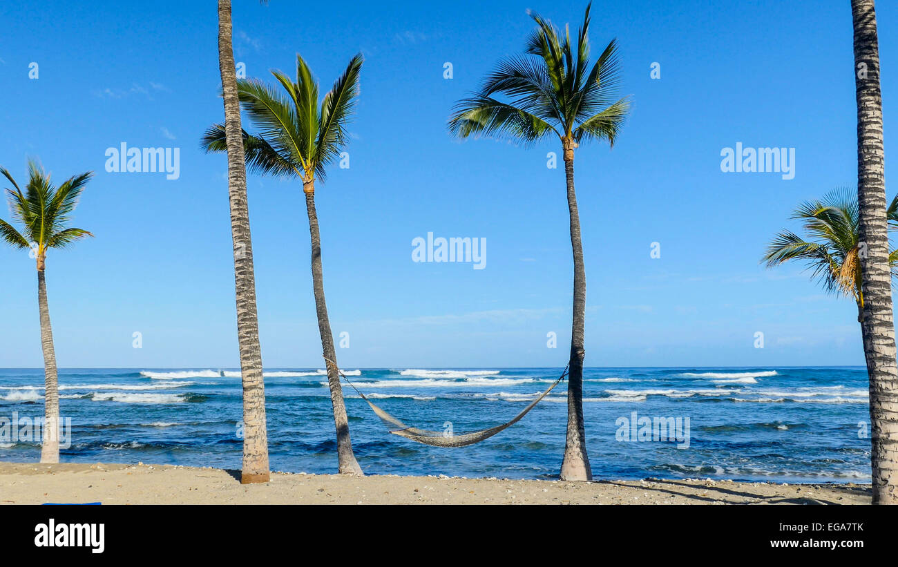 Mauna Lani Resort, Kohala Küste, Insel von Hawaii Stockfoto