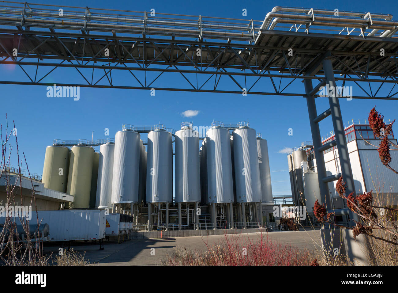Fort Collins, Colorado - die neue Brauerei in Belgien. Stockfoto