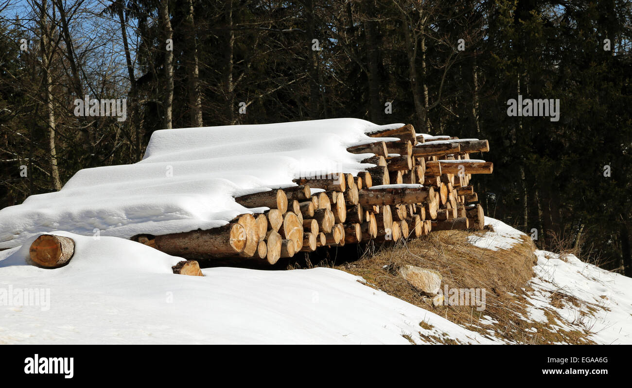 Haufen von Protokollen schneiden in den Bergen unter dem weißen Schnee Stockfoto