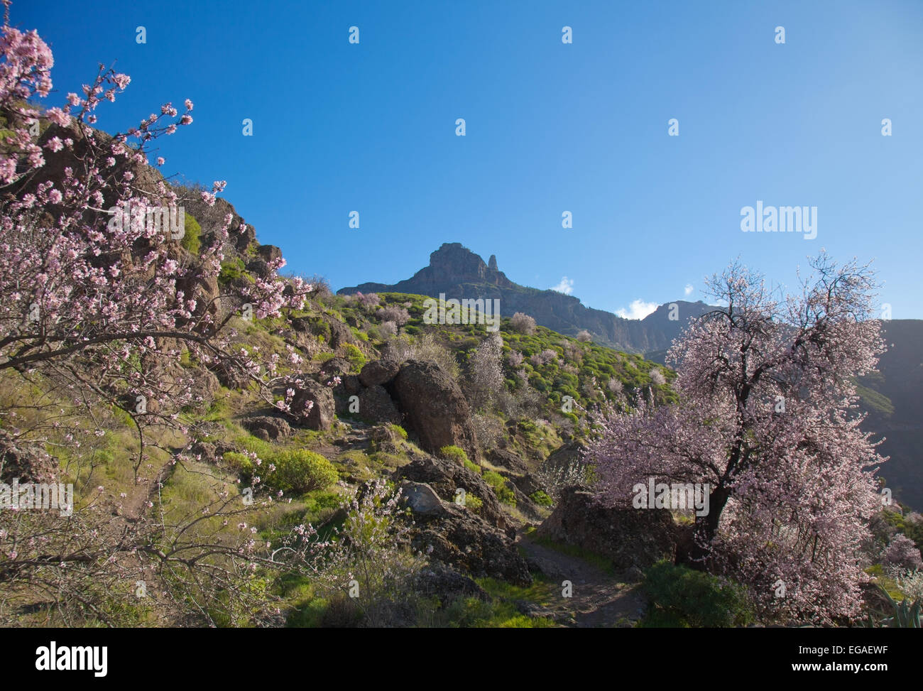 Gran Canaria, Caldera de Tejeda im Winter beginnt ein Fußweg zum Cruz de Tejeda Stockfoto