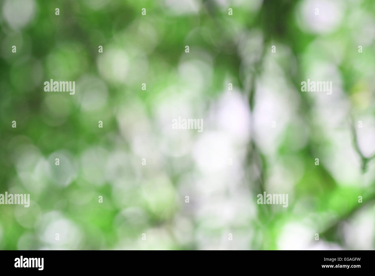 grünen Hintergrund der Bokeh für den Hintergrund. Stockfoto