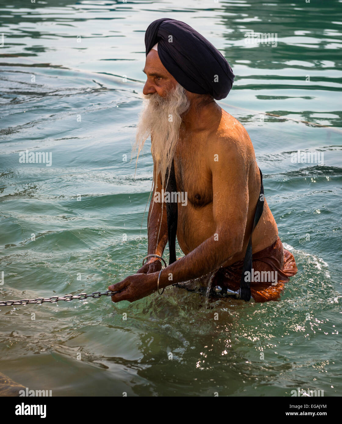 Ein Alter Sikh Mann braucht, um das heilige Wasser des Goldenen Tempel, Amritsar, Punjab, Indien Stockfoto