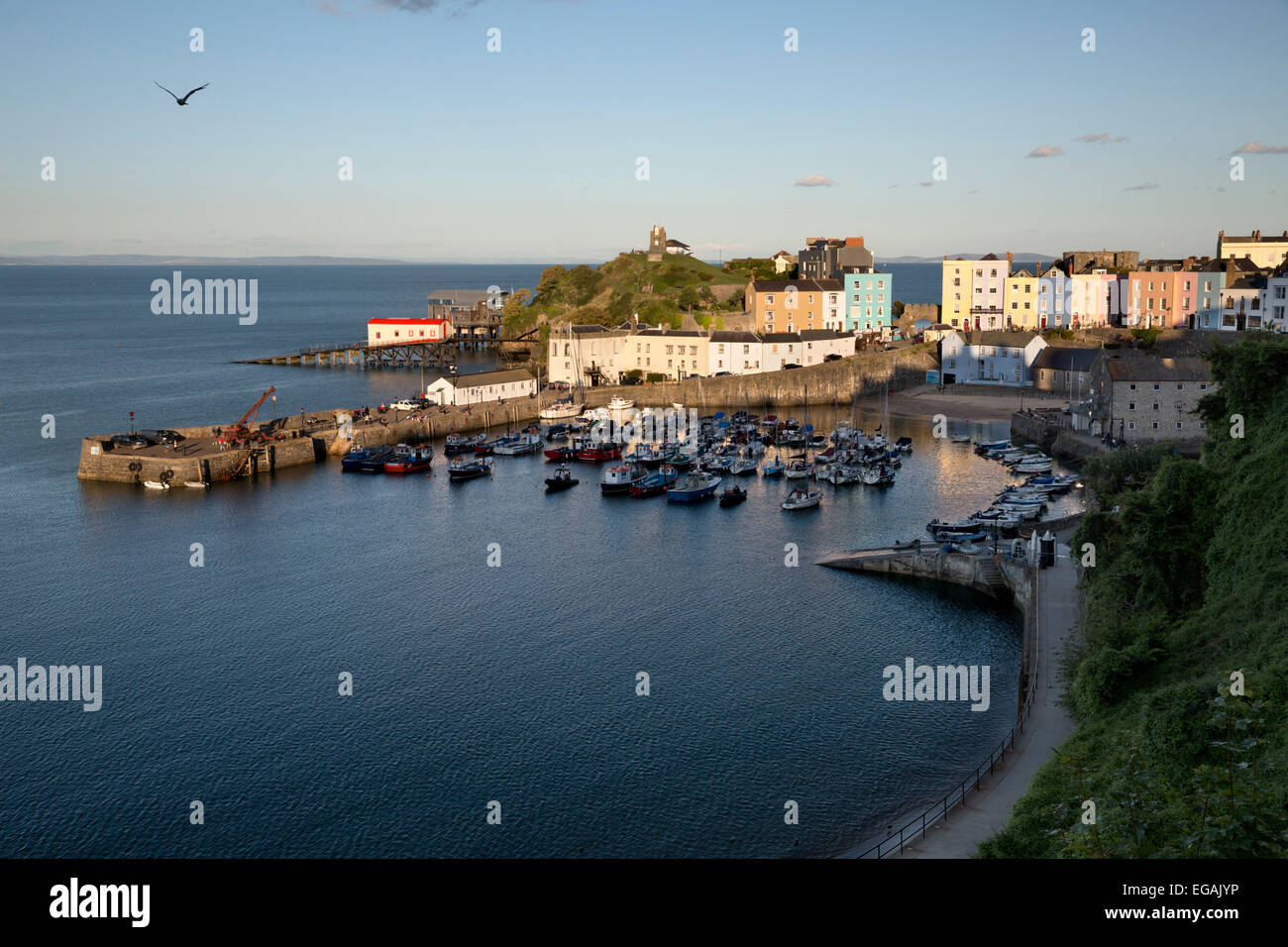 Blick über Hafen und die Burg, Tenby, Carmarthen Bay, Pembrokeshire, Wales, Vereinigtes Königreich, Europa Stockfoto