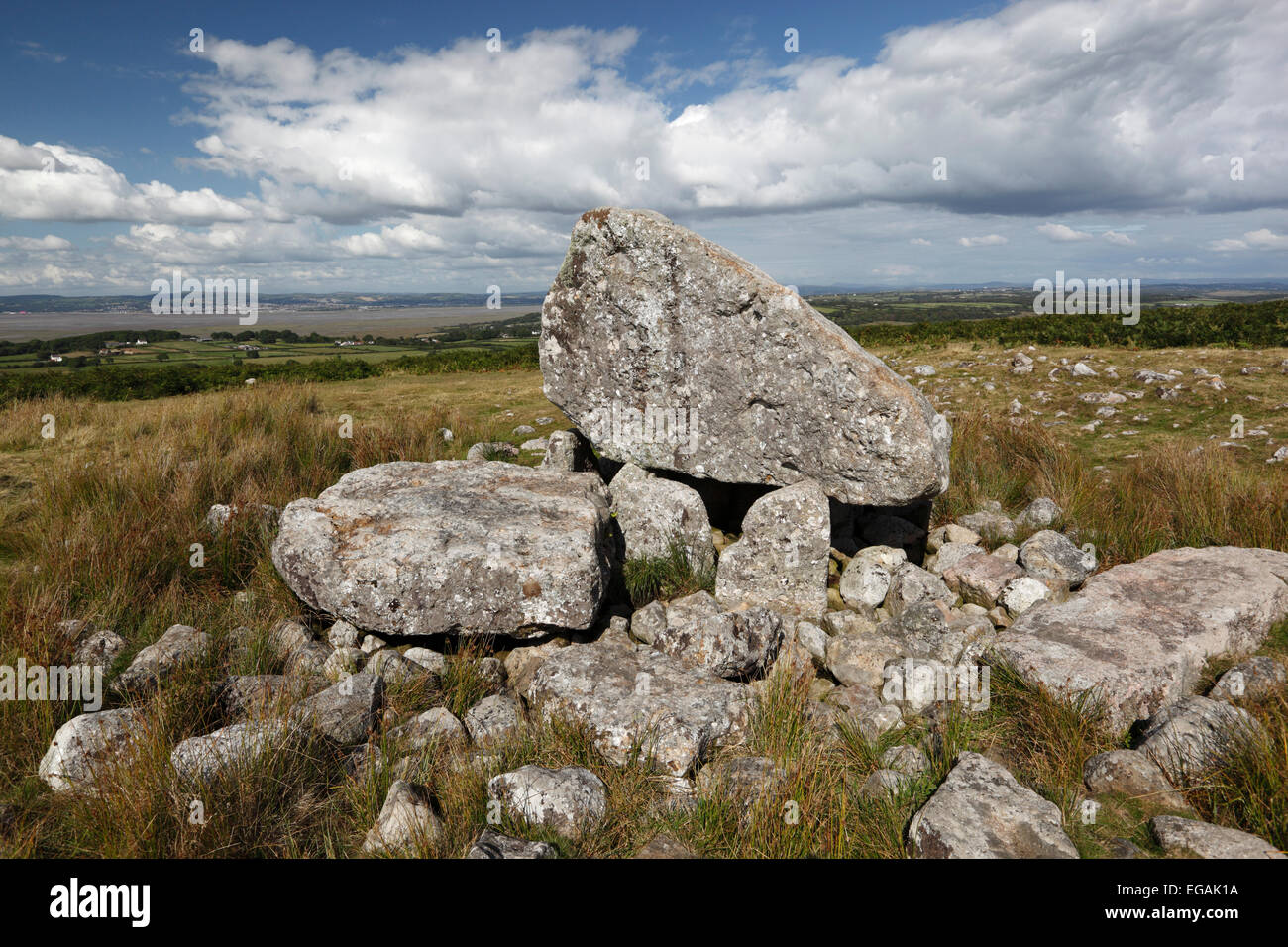 Arthurs Stein (Maen Ceti, Maen Cetty) neolithischen Dolmen, gekammert, Gower Halbinsel, Swansea, West Glamorgan, Wales, Vereinigtes König Stockfoto