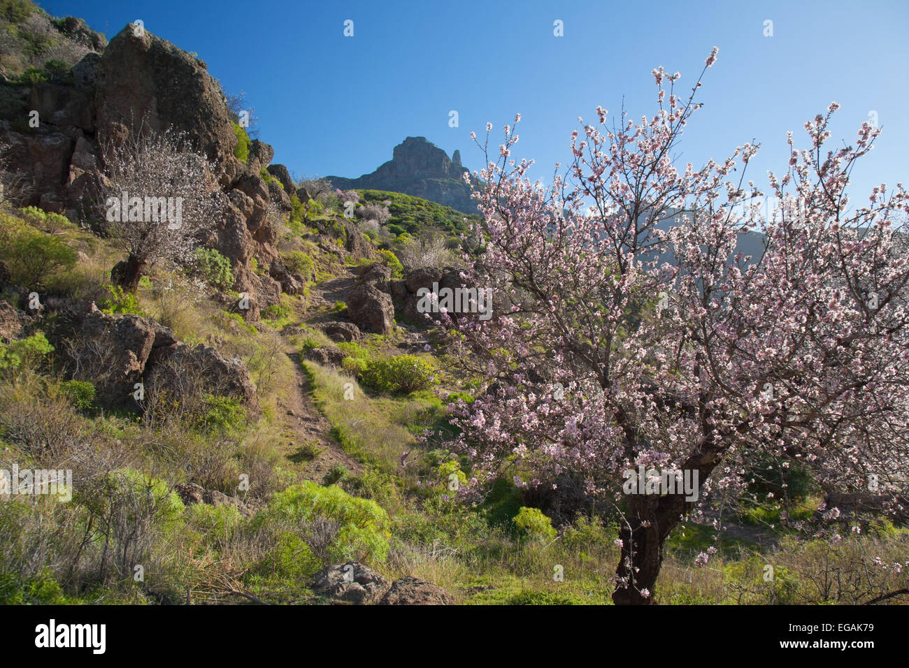 Gran Canaria, Caldera de Tejeda im Winter beginnt ein Fußweg zum Cruz de Tejeda Stockfoto