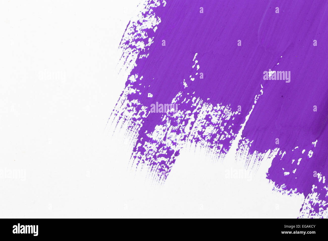 Schlaganfall lila Farbe Pinsel Farbe Wasser Aquarell isoliert auf weißem Hintergrund Stockfoto