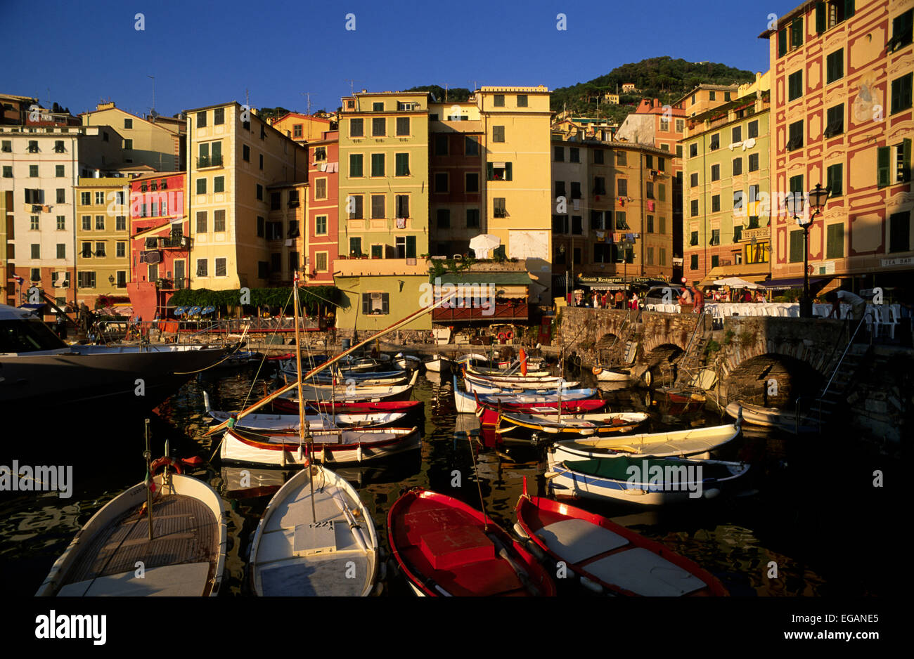 Italien, Ligurien, Riviera di Levante, Camogli, Hafen Stockfoto