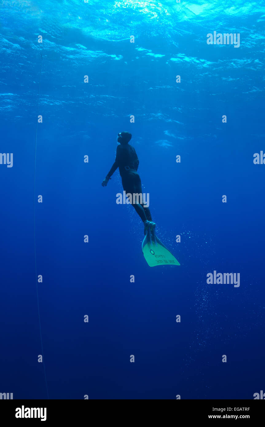 Weibliche Freediver Tauchen im blauen Wasser, Rotes Meer, Ägypten Stockfoto