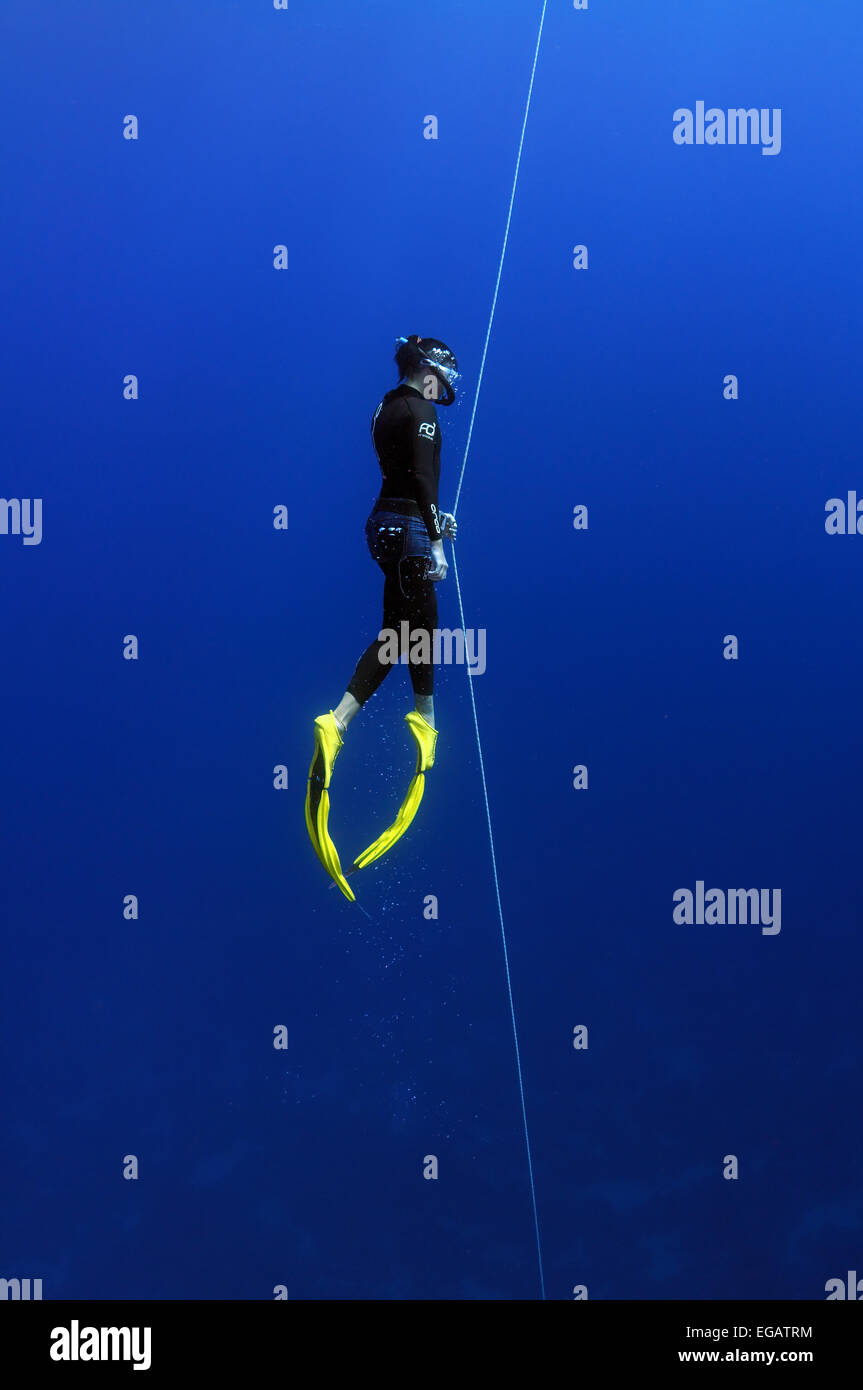 Weibliche Freediver Tauchen im blauen Wasser, Rotes Meer, Ägypten Stockfoto