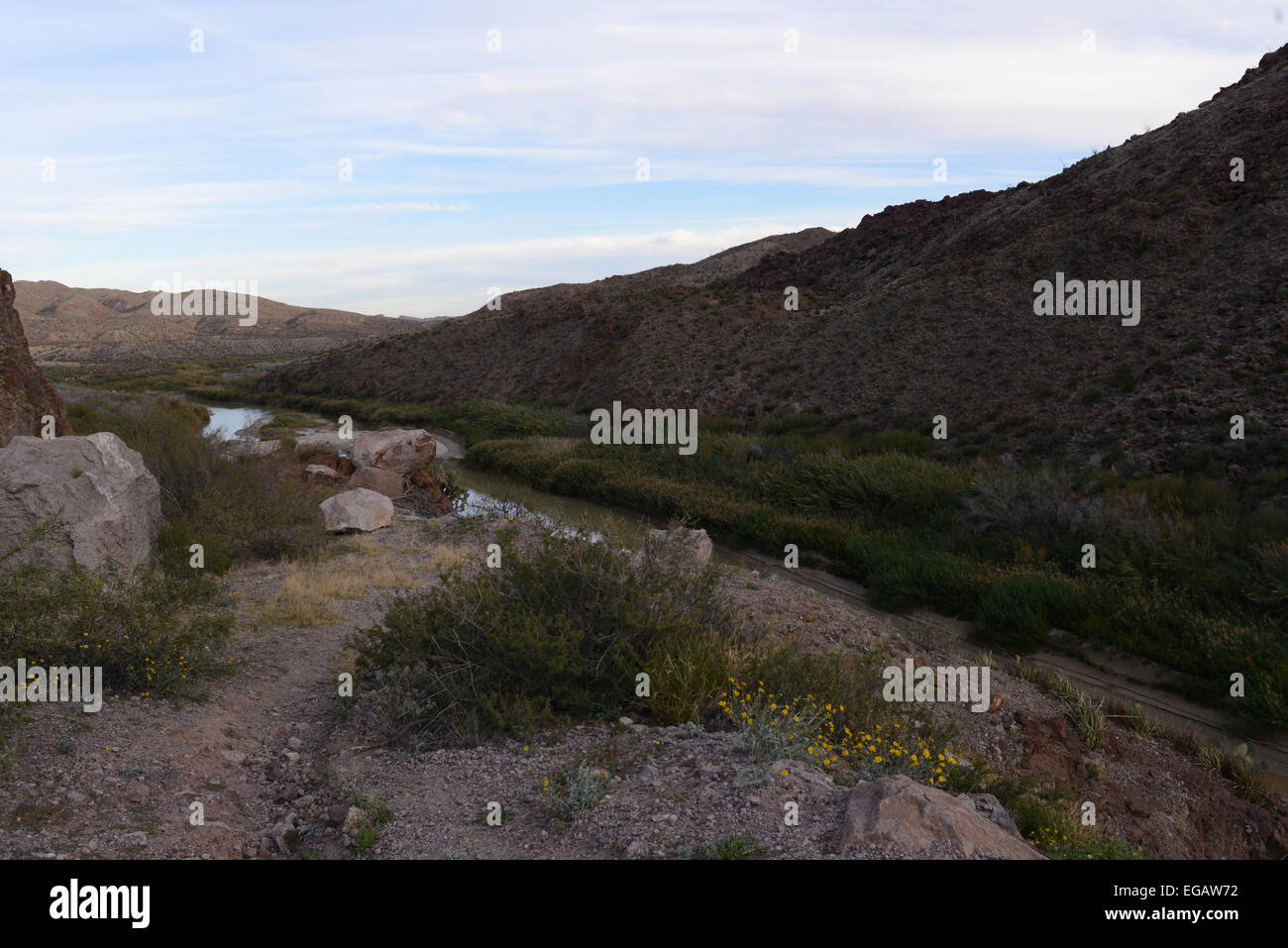 Entlang dem Rio Grande Fluss in Big Bend Ranch State Park Stockfoto