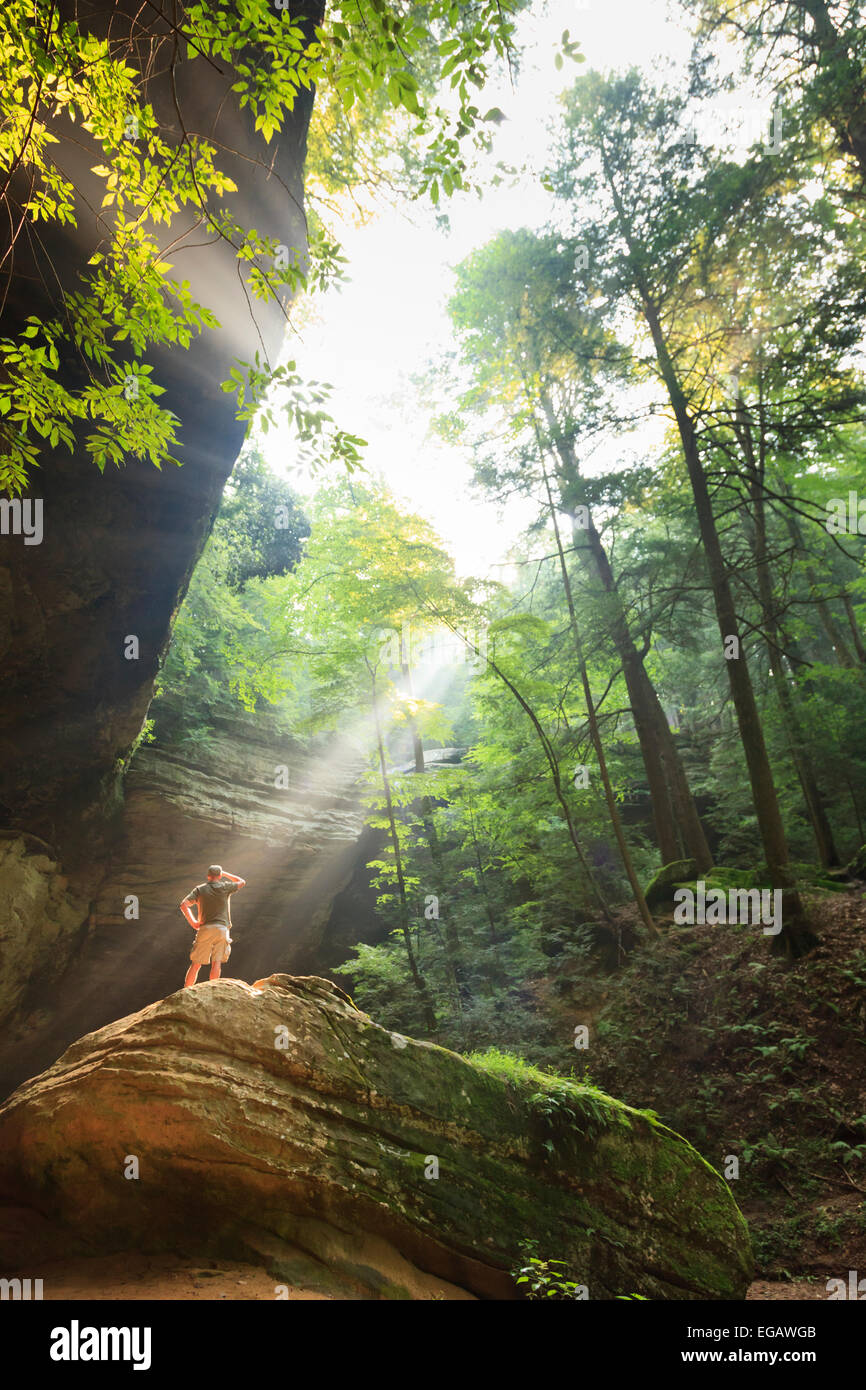 Ash-Höhle bei Hocking Hills State Park, Ohio, USA Stockfoto